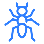 Ant